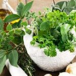 leacuri batranesti pentru artroza